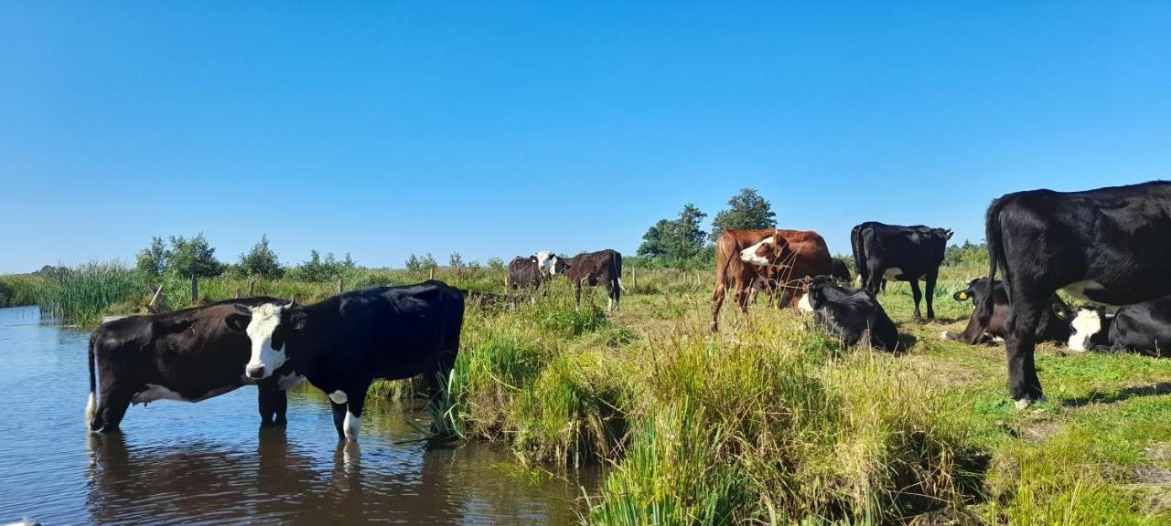 Huisje Beukers Giethoorn Bagian luar foto