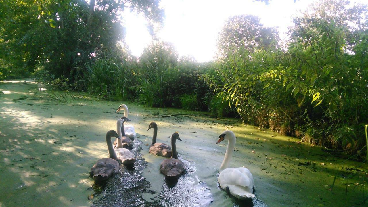 Huisje Beukers Giethoorn Bagian luar foto